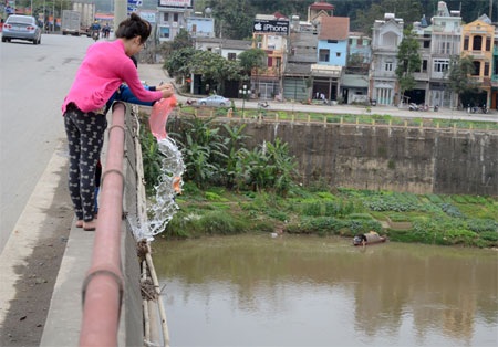 Phóng sinh cá chép xuống sông Hồng.