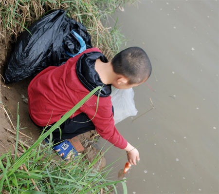 Phóng sinh cá chép xuống sông Hồng.