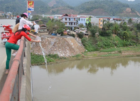 Phóng sinh cá chép xuống sông Hồng.