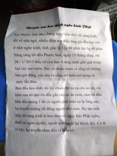 Bản photo những câu chuyện về chú heo