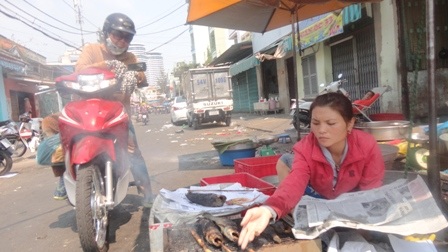 Giới kinh doanh nhộn nhịp cúng vía thần tài - 3 Bán cá lóc nước phục vụ cho mâm cúng vía thần tài