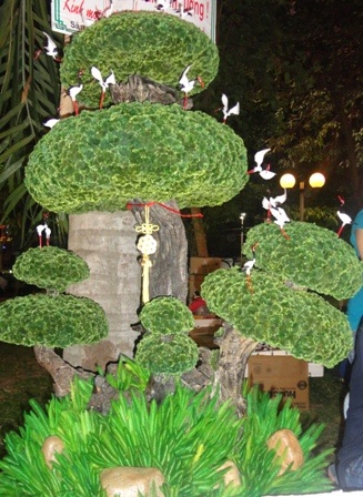 Cây tùng có lá bonsai chào bán với giá 28 triệu đồng.