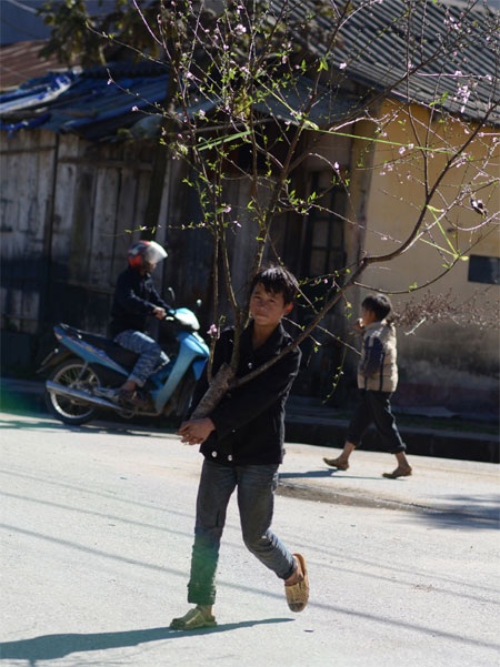 Trẻ em Sa Pa trĩu vai đi bán đào rừng - 1 Ngọc Bằng