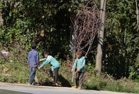 Trẻ em Sa Pa trĩu vai đi bán đào rừng - 3 Ngọc Bằng