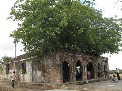 Đình cổ trong lòng cây bồ đề - báu vật của xã Tân Đông