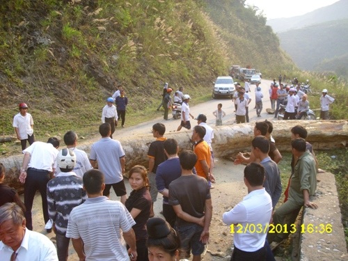 Cây nặng hơn 5 tấn từ… trên trời rơi xuống!