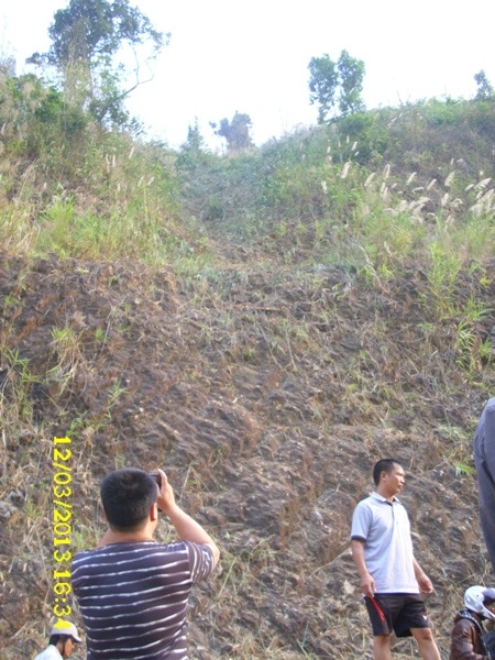 Điểm rơi của cây ở tận đỉnh núi cao khoảng 100 m so với mặt đường!