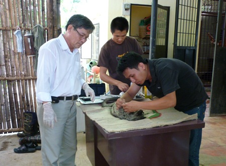 “Bệnh viện” động vật hoang dã giữa đại ngàn - 1 “Bệnh viện” động vật hoang dã giữa đại ngàn