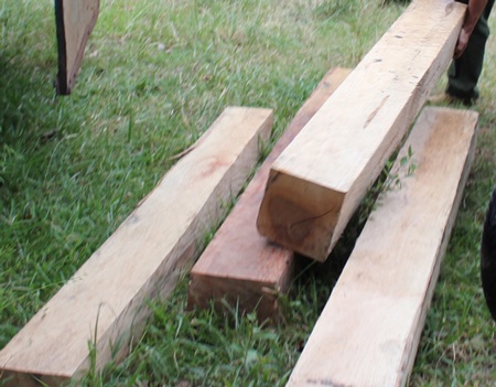 60 súc gỗ hộp “vô chủ” được giấu trong lùm cây