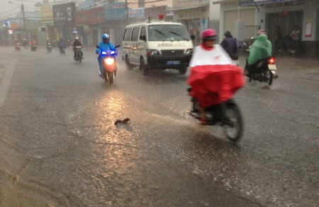 Người dân TPHCM sung sướng đón “trận mưa vàng” - 1 Trận mưa lớn dữ dội trên diện rộng hạ nhiệt cho TPHCM.