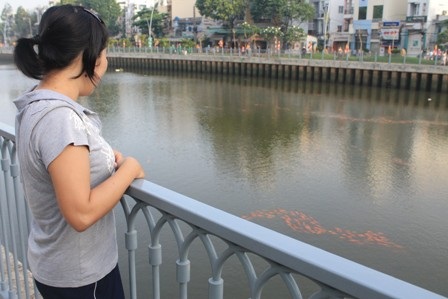 Ngỡ ngàng ngắm đàn cá vàng trên dòng kênh “chết” - 2 Người dân thích thú vừa tập thể dục vừa ngắm cá