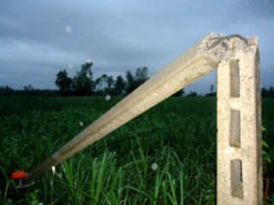 Gần 10 học sinh thoát nạn trong căn nhà bị cây cổ thụ đè sập