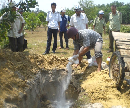 Tiêu hủy số nội tạng hôi thối