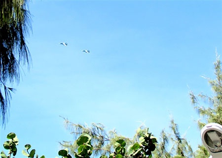 Máy bay SU30 tuần tra tại Trường Sa - 5 Hai chiếc SU30 đã bay lượn nhiều vòng quanh đảo Song Tử Tây.