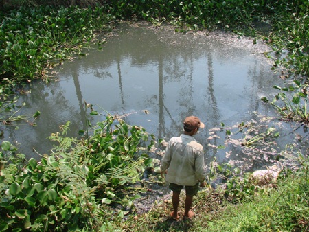 Ông Vân và vợ đi vớt xác vịt