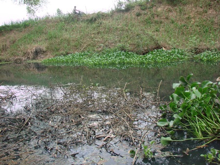 Dòng kênh đen đặc, ô nhiễm