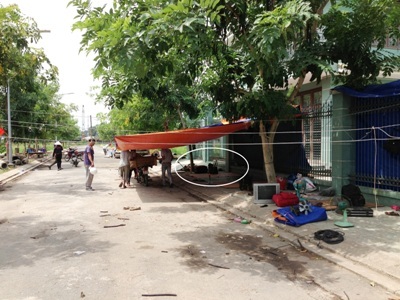 Hiện trường khu lán trại, nơi phát hiện nạn nhân Viên Văn Đoàn tử vong.