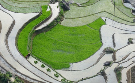 Phạm Ngọc Bằng