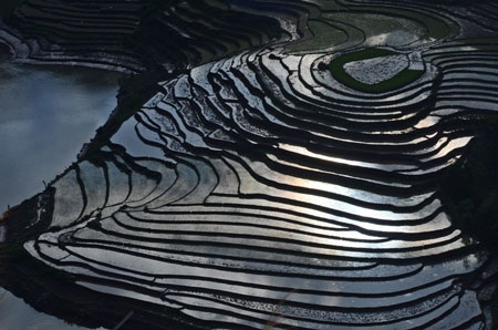 Phạm Ngọc Bằng