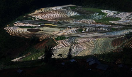 Phạm Ngọc Bằng