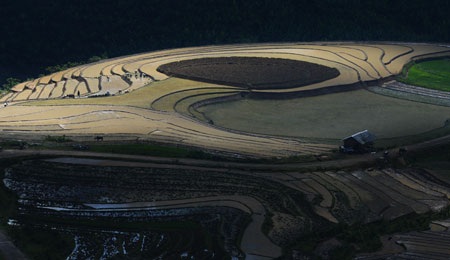 Phạm Ngọc Bằng