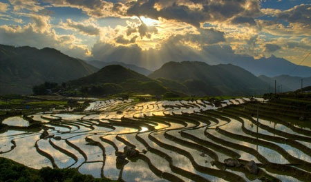 Phạm Ngọc Bằng