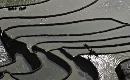 Phạm Ngọc Bằng