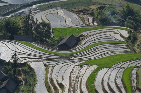 Phạm Ngọc Bằng