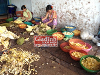 Mít được công nhân bóc lột ra thành phẩm nhưng không ai dám ăn (Ảnh:Kha Sinh)