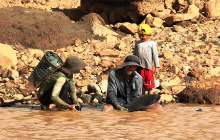 Những đứa trẻ cũng theo đi đãi vàng