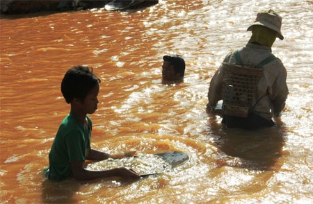 Những đứa trẻ cũng theo đi đãi vàng