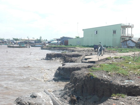 Cà Mau có thể biến mất trong vài thập kỷ tới vì bơm nước ngầm