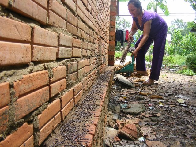 Bọ đen ở Đồng Nai