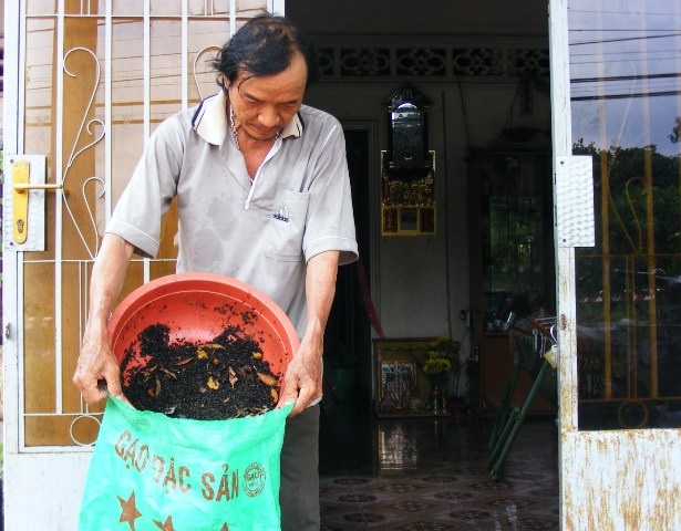 Bọ đen ở Đồng Nai