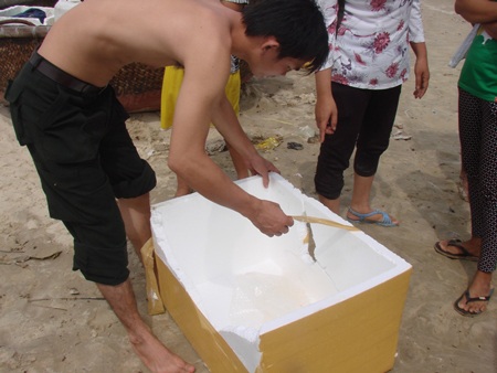 Chính quyền và người dân cùng lo lắng cho số phận của những hàng cừ đê vây