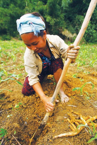 Cuộc sống sinh tồn khắc nghiệt đòi hỏi những đứa trẻ phải có sức khỏe để tồn tại.