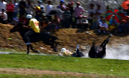 Ấn tượng trường đua ngựa của những chàng nông dân vùng cao - 8 Một người ngã ngựa