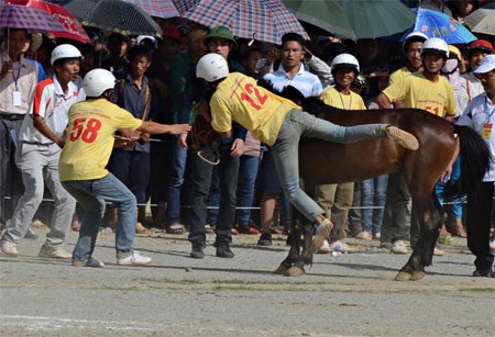 Ấn tượng trường đua ngựa của những chàng nông dân vùng cao - 6 Những chú ngựa bất kham trên đường đua