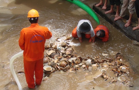 Tàu cổ vật 500 năm tuổi đã lộ diện - 6 Kho báu cổ vật hiện ra trên mặt cát biển trong cừ đê vây.