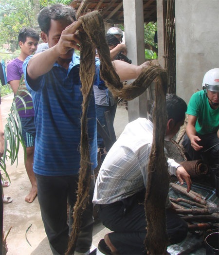 Băng vải làm từ vỏ cây, dùng làm khố