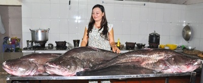 Câu được nhiều cá leo khổng lồ trên sông Sêrêpôk - 1 Chị Phượng với 3 con cá Leo khổng lồ. (Ảnh: Hoàng Thiên Nga)