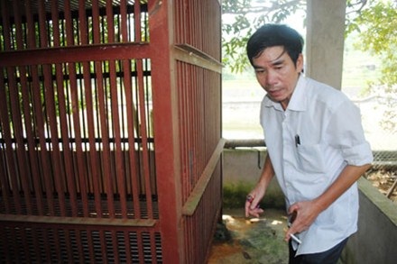 Vụ gấu cắn đứt hai tay cháu bé: “Thủ phạm” đã bị giết - 1 Ông Tăng Đức - người đã gí điện giết chết gấu.