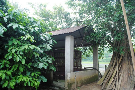 Vụ gấu cắn đứt hai tay cháu bé: “Thủ phạm” đã bị giết - 2 Chuồng gấu - nơi trước đây nuôi nhốt trái phép.