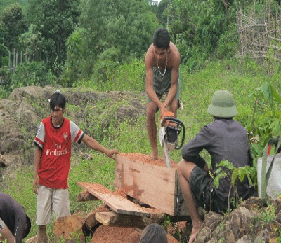 Sau bão, dân đổ xô ra sông vớt củi - 2 Vớt được thân gỗ to, người dân mang cả cưa máy xẻ ngay bên bờ sông