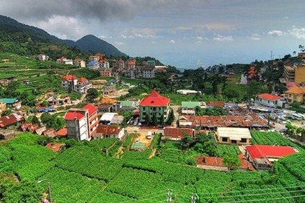 Vĩnh Phúc muốn xây casino tại Tam Đảo - 1 Một góc thị trấn Tam Đảo.