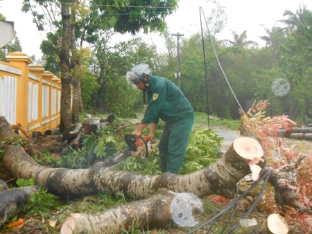 Lý Sơn sau bão (Ảnh: Hồng Long)