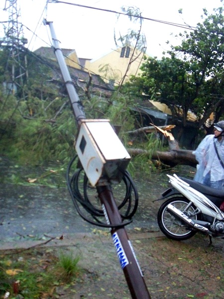 Cảnh ngập lụt nghiêm trọng và cây xanh gãy đổ ở TP Hội An (Ảnh: Hà Thế An)