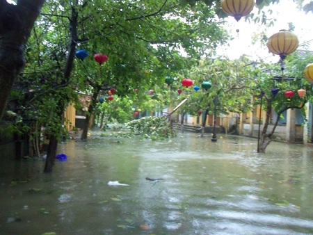 Cảnh ngập lụt nghiêm trọng và cây xanh gãy đổ ở TP Hội An (Ảnh: Hà Thế An)