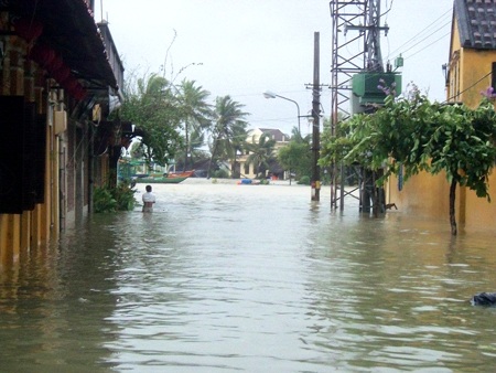 Cảnh ngập lụt nghiêm trọng và cây xanh gãy đổ ở TP Hội An (Ảnh: Hà Thế An)