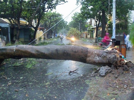 Cảnh ngập lụt nghiêm trọng và cây xanh gãy đổ ở TP Hội An (Ảnh: Hà Thế An)